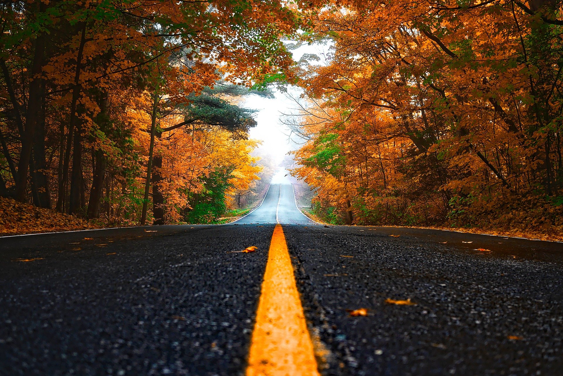 fall driving